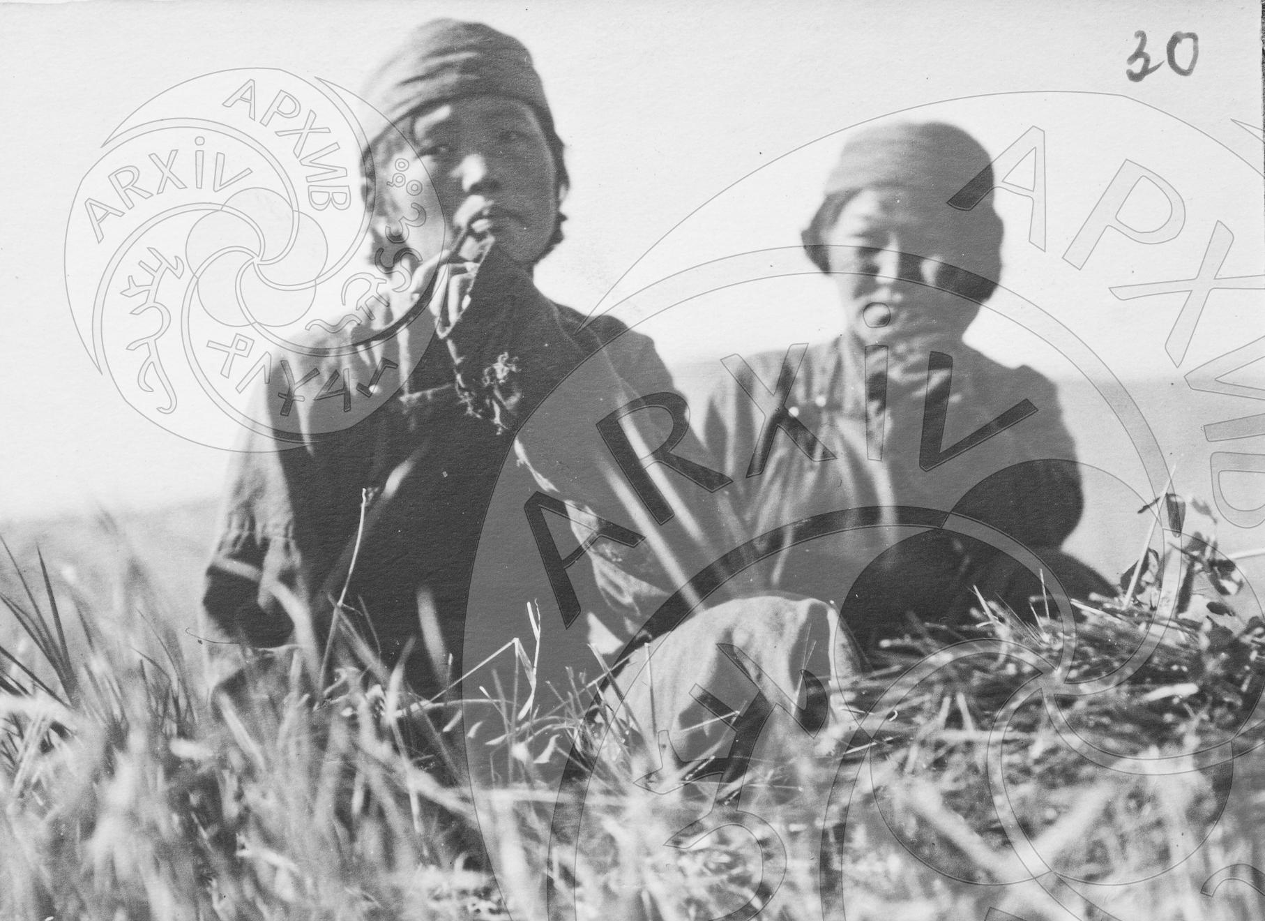 Альбом №5 В.П. Ермолаев "Сельское хозяйство и земледелие ТНР 1913-1935"