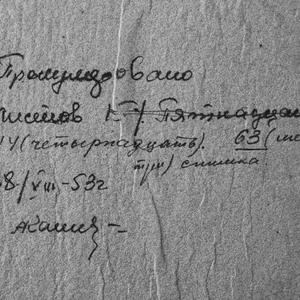 1953 Альбом №5 В.П. Ермолаев "Сельское хозяйство и земледелие ТНР 1913-1935"