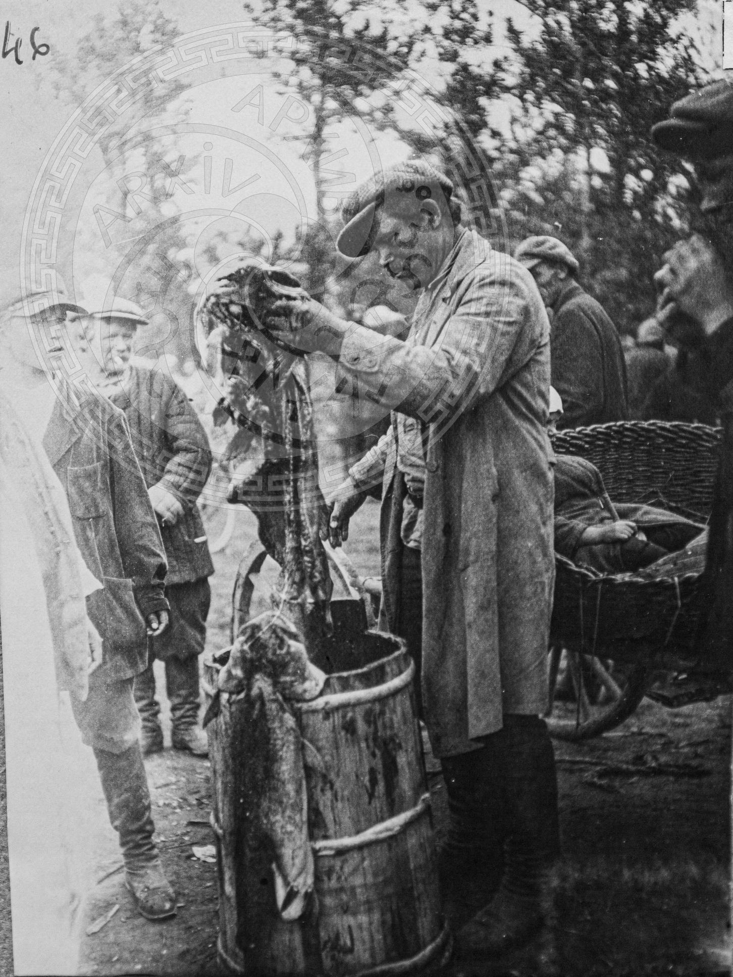 Рыбак продает рыбу тайменей на ярмарке.
