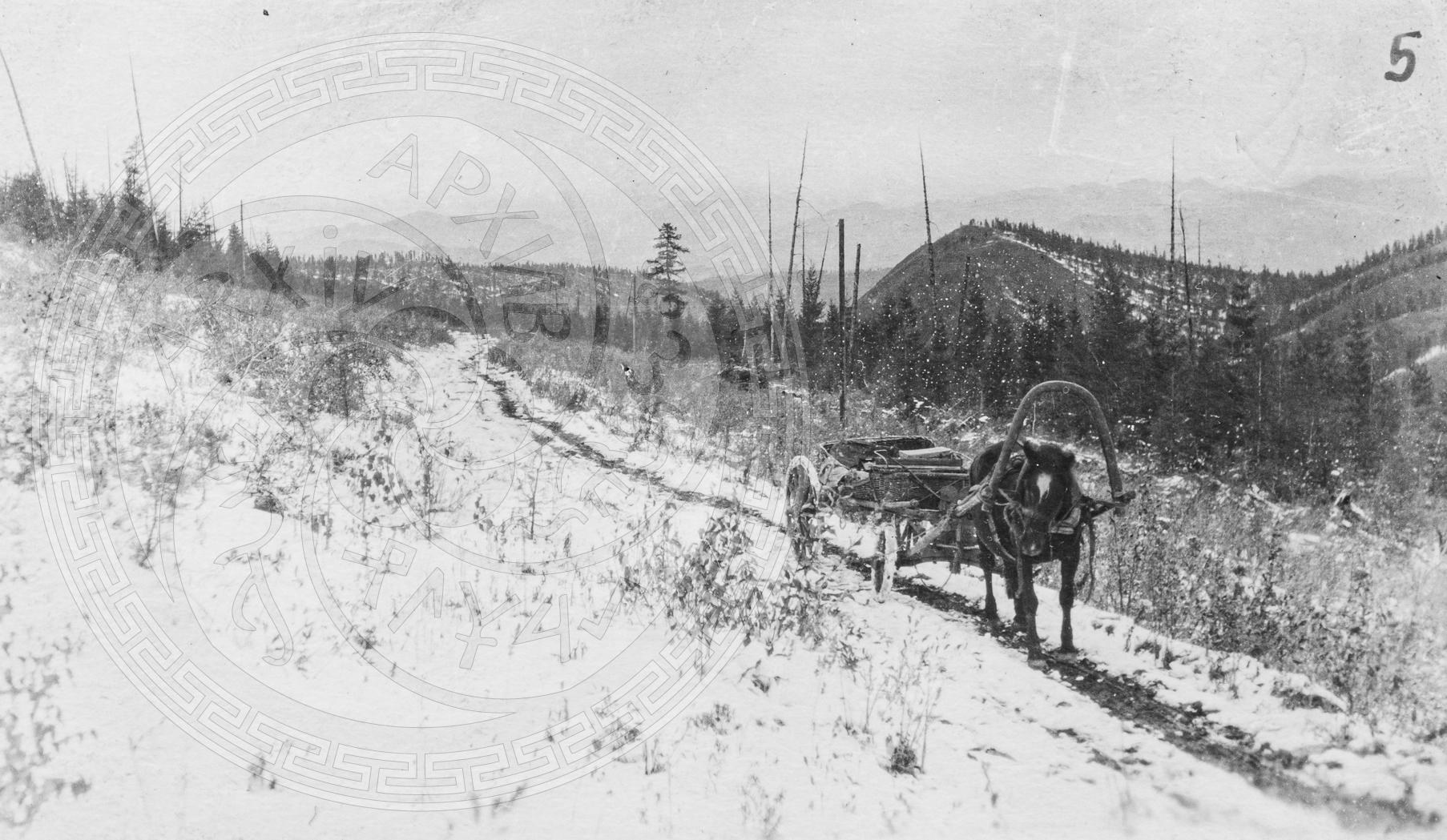 Дорога между посёлками Сесерлиг и Сушь. Дорога проложена в 1915 году Переселенческой организацией. Снимок сделан в 1916 году.
