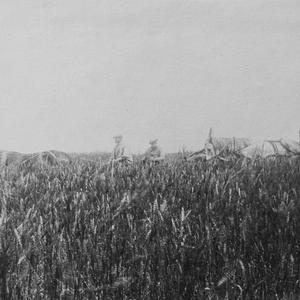 1922 Альбом №5 В.П. Ермолаев "Сельское хозяйство и земледелие ТНР 1913-1935"