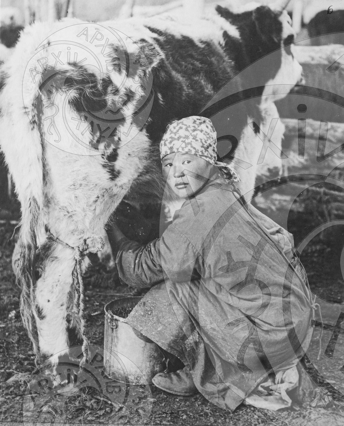 Доярка госхоза "Элегест", одна из первых девушек, поступившая на работу в госхоз в начале организации госхоза