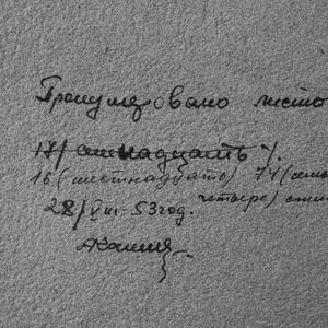 1894 Альбом №4 В.П. Ермолаев "Животноводство в Туве 1913-1935"